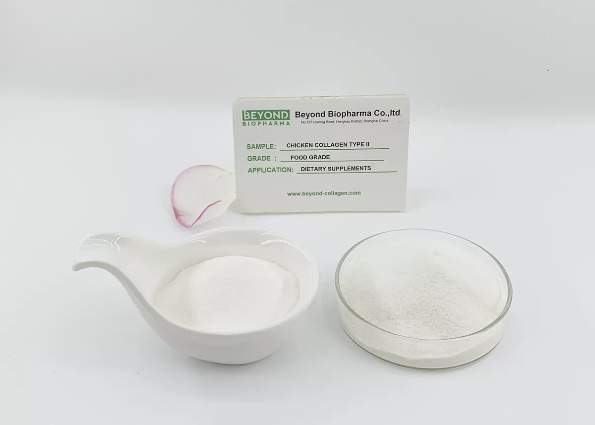 Hydrolyzed Collagen Type II Powder